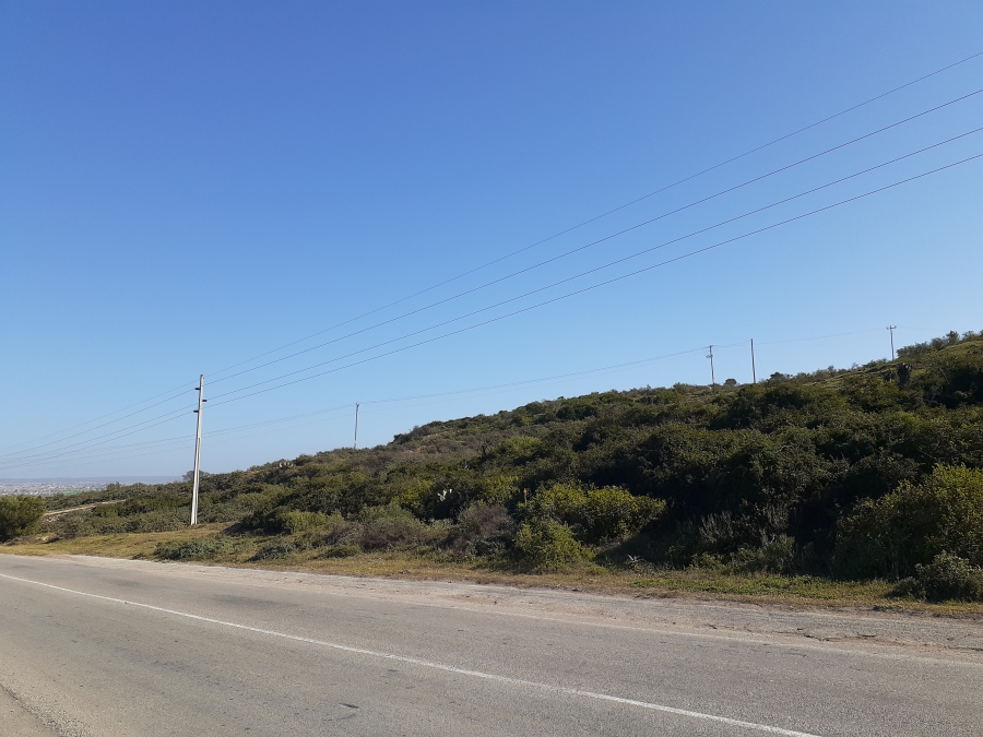 0 Bedroom Property for Sale in Wells Estate Eastern Cape